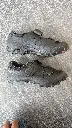 IMG_7290.webp