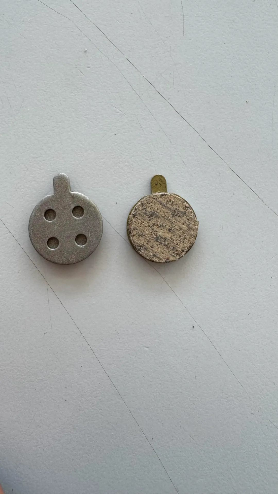 Baltas Alhonga circulares